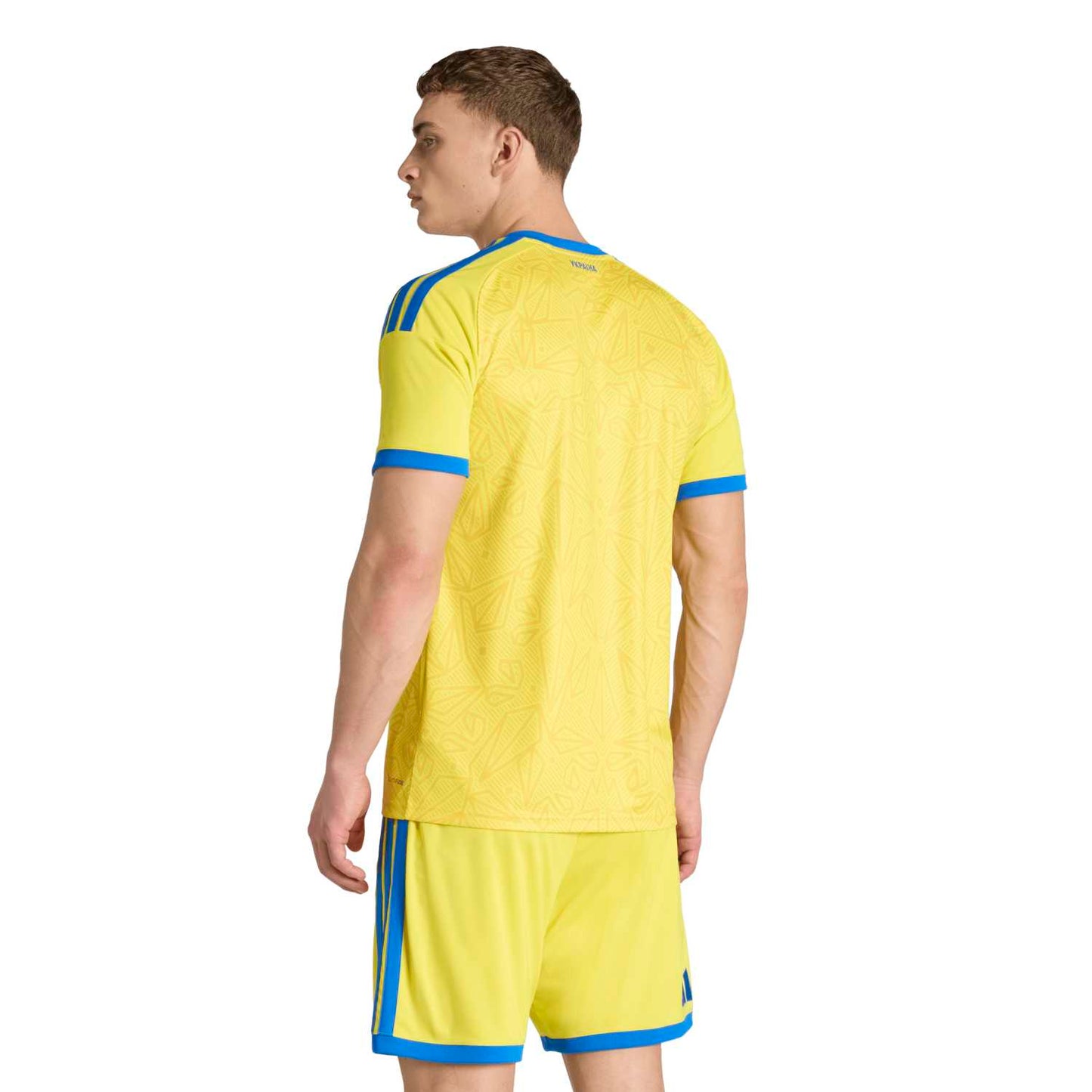 Ukraine 2026 Domicile